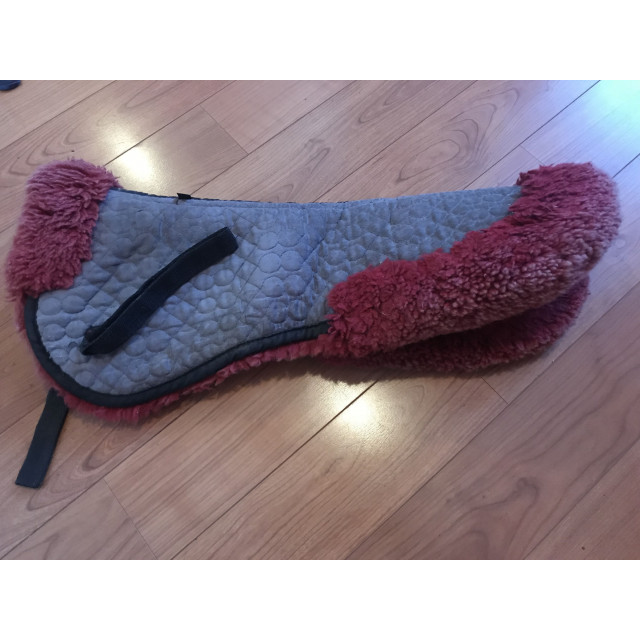 Amortisseur Golden Horse