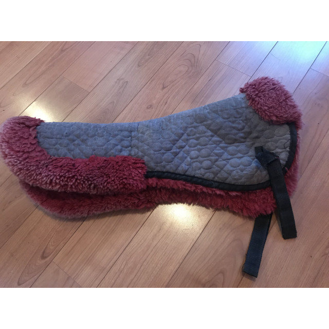 Amortisseur Golden Horse