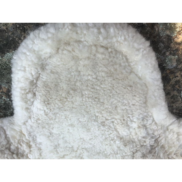 Sangle bavette mouton time ride 115cm