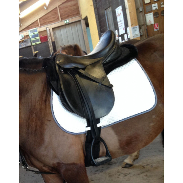 tapis dressage blanc