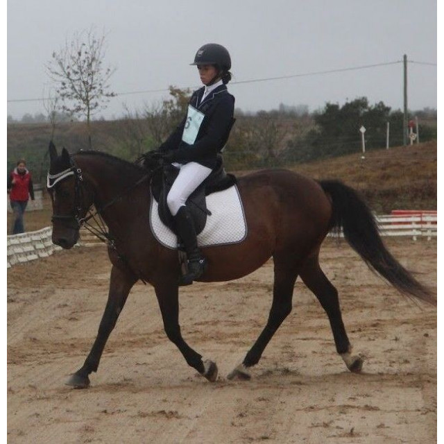 tapis dressage blanc