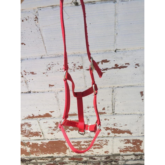 licol poney rouge