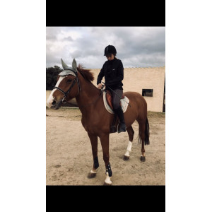 Ensemble tapis bonnet