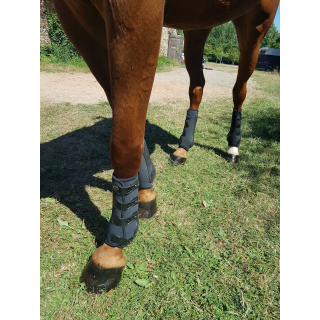 guêtres VEREDUS PIAFFE EVO