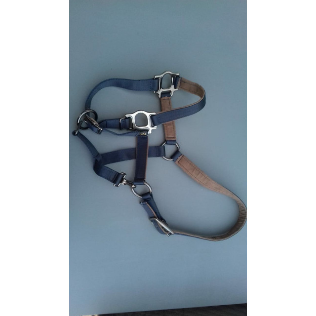 Licol lami-cell +longe NEUF