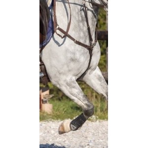 collier de chasse Greenfield