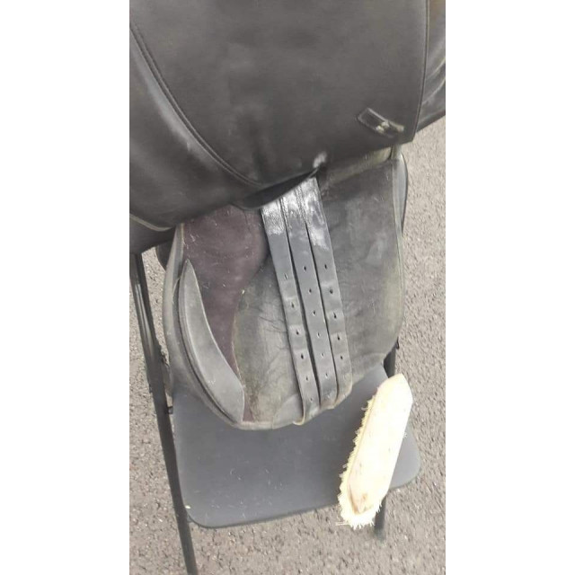 Selle wentec