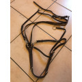 Collier de chasse cuir Treadstone
