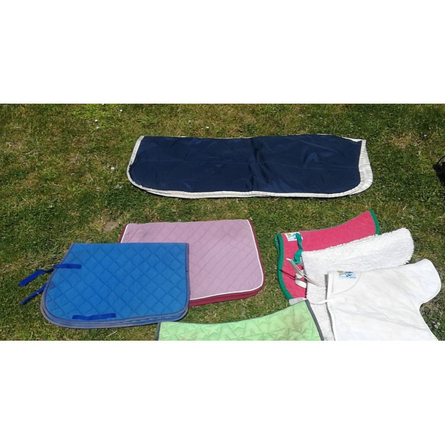 Tapis