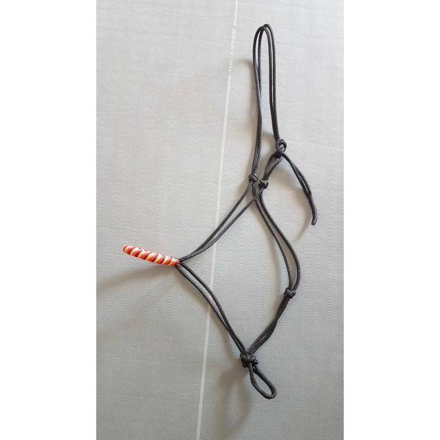 Licol éthologique cheval
