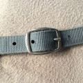 Licol nylon