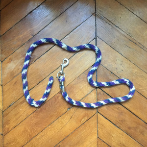 Licol et longe équithème