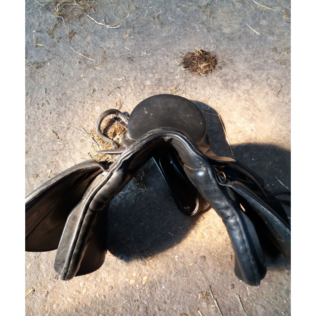 Selle Claridge House