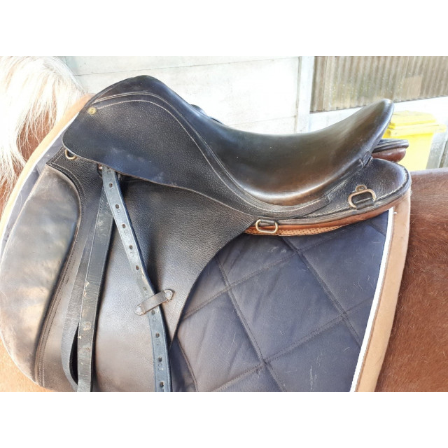 selle complête et filet