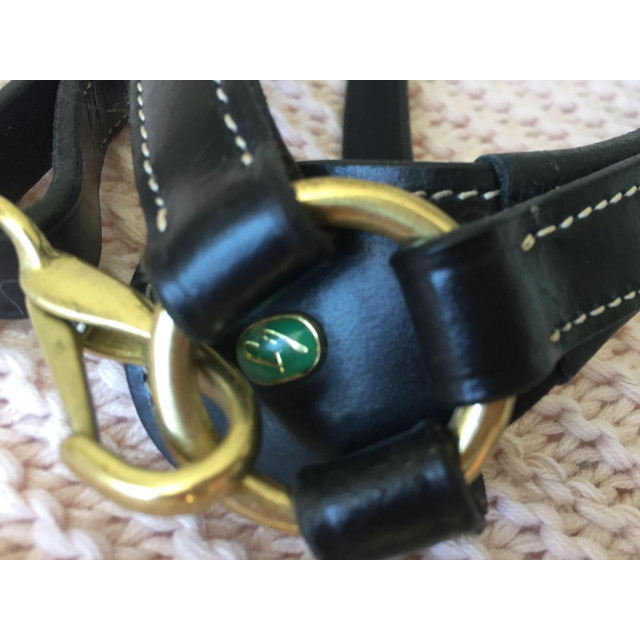 Collier de chasse noir