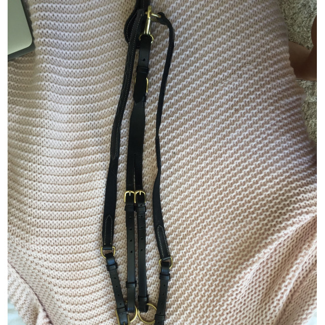 Collier de chasse noir