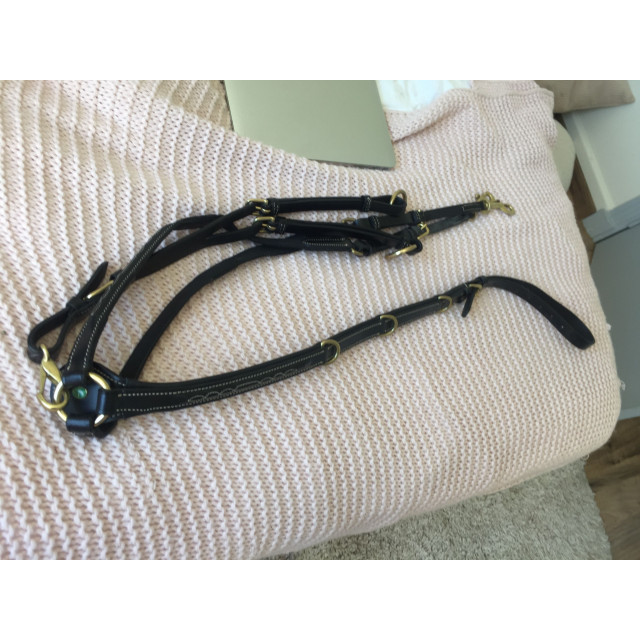 Collier de chasse noir