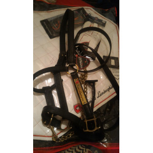 Licol+longe Tonino Lamborghini