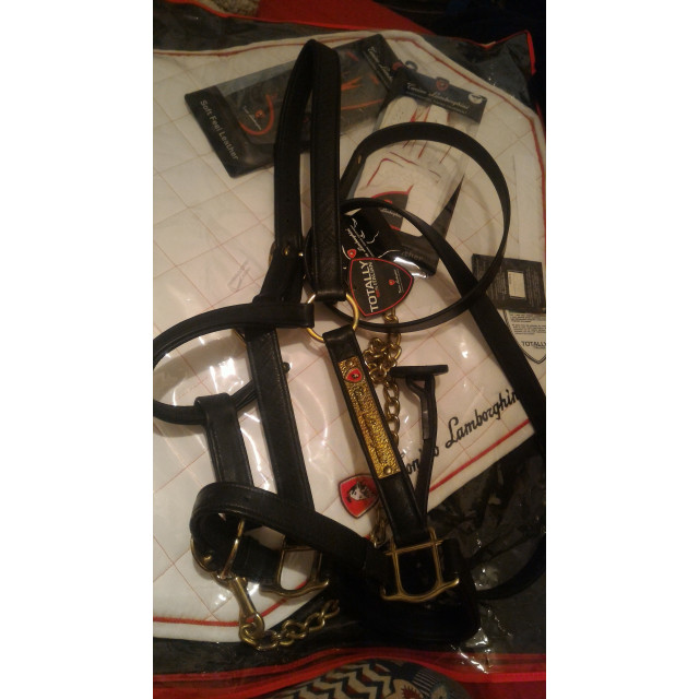 Licol+longe Tonino Lamborghini