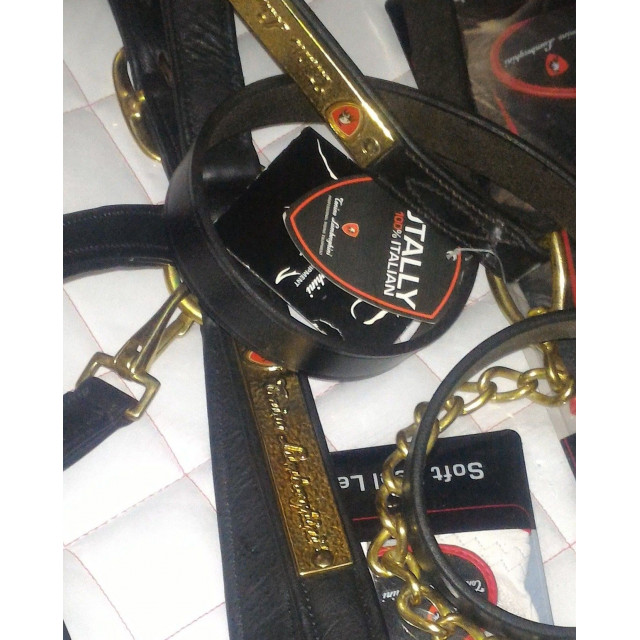 Licol+longe Tonino Lamborghini