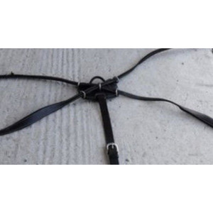 Collier de chasse Dyon