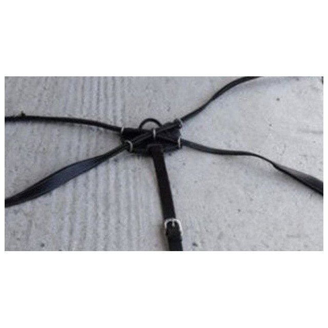 Collier de chasse Dyon