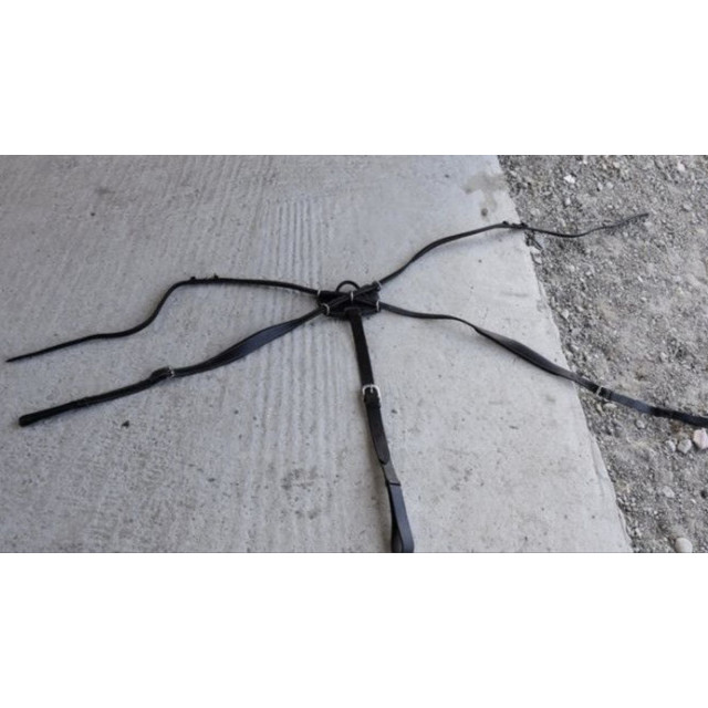 Collier de chasse Dyon