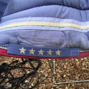 tapis equitheme taille poney