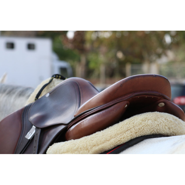 selle spooner by antares