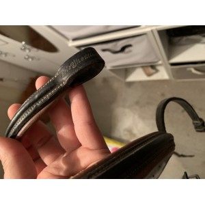 Frontal  et muserolle