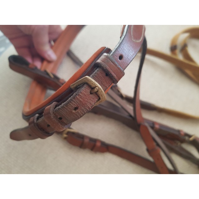 Filet Cuir Havana Gold