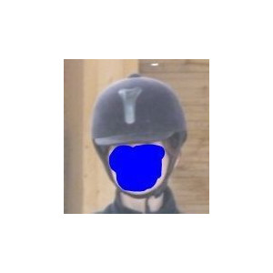 Bombe noire équitation Fouganza taille 53