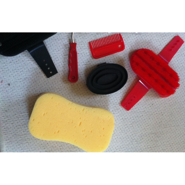 lot de 6 brosses Equerry