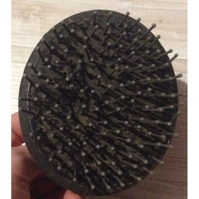Brosse à crins