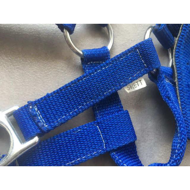 Licol + longe shetland