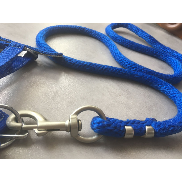 Licol + longe shetland