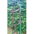 Bridon Cwd