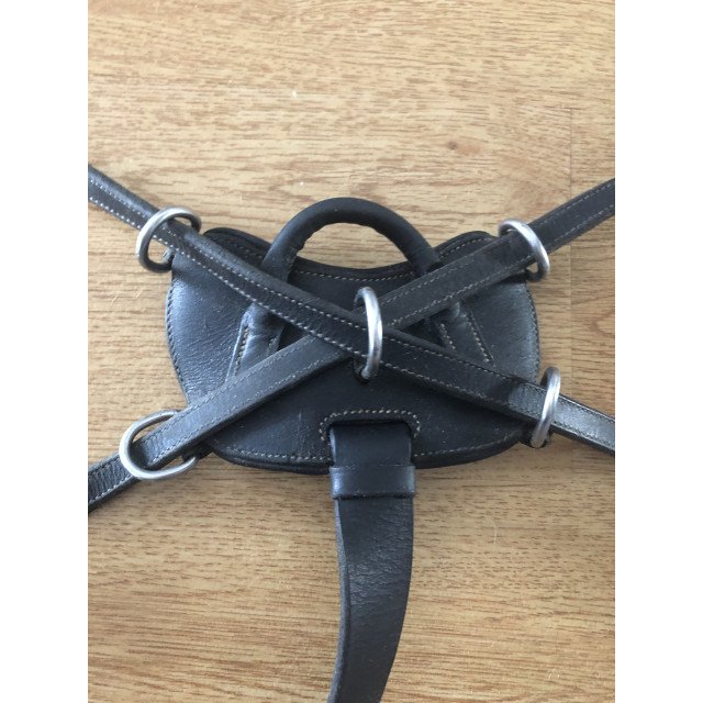 Collier de chasse Dyon