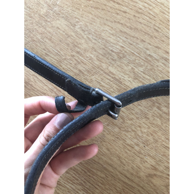 Collier de chasse Dyon