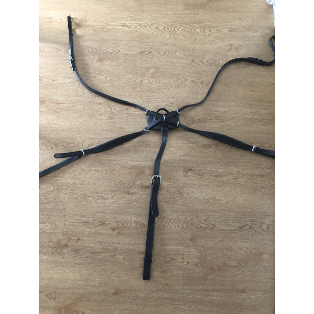 Collier de chasse Dyon
