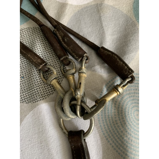 Gogue cheval Éric Thomas