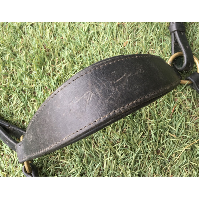 Collier de chasse + Martingale Equipe