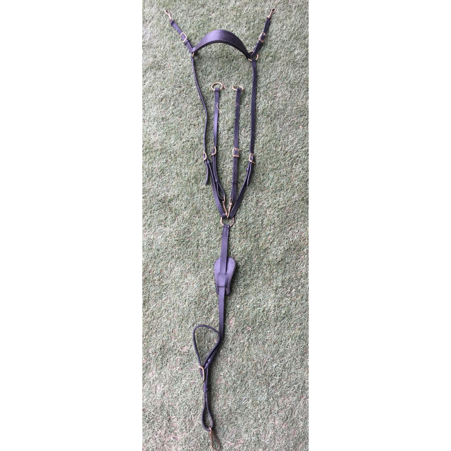 Collier de chasse + Martingale Equipe