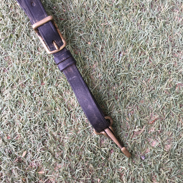 Collier de chasse + Martingale Equipe