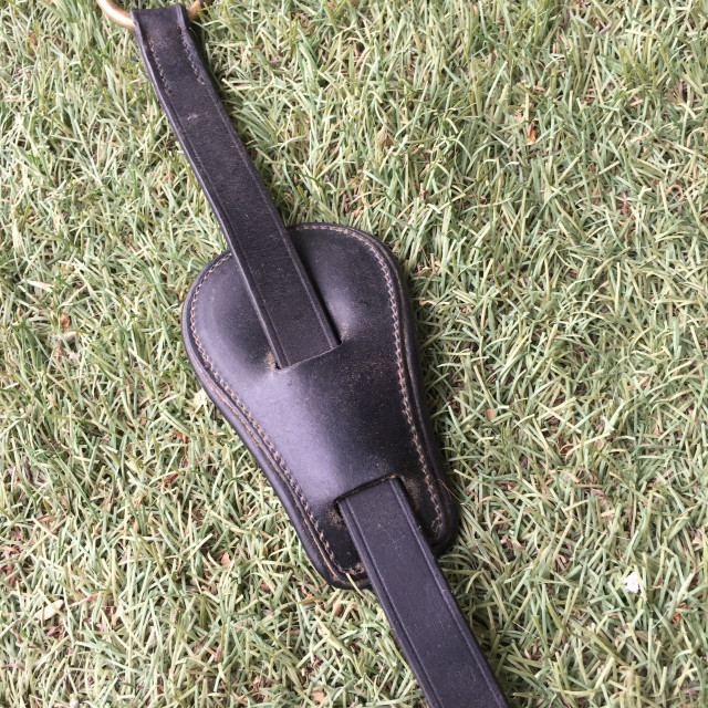 Collier de chasse + Martingale Equipe