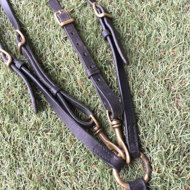 Collier de chasse + Martingale Equipe