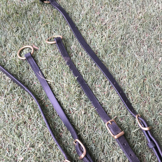Collier de chasse + Martingale Equipe