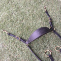 Collier de chasse + Martingale Equipe