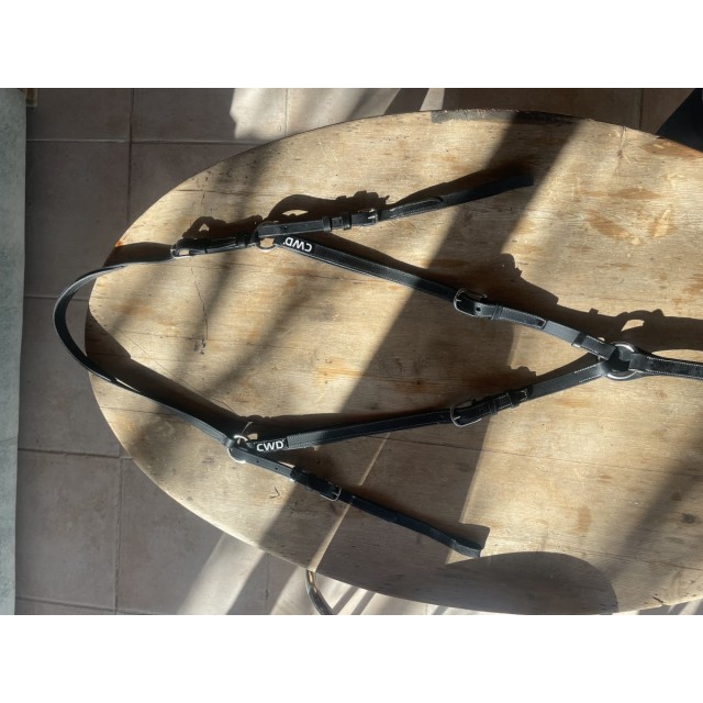 Collier de chasse CWD