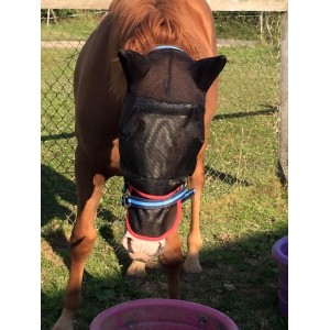 Bonnet anti mouche